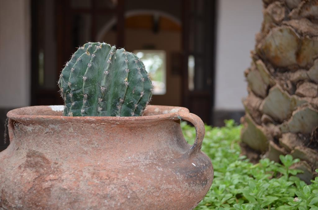 Finca El Carmen Guest House Angastaco Exterior photo